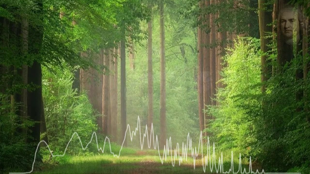 Johann Sebastian Bach Invention 8 in F major, BWV 779-ORGAN