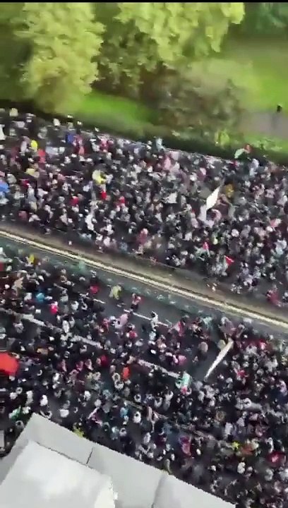 London Protest  A sea of people in London calling for justice for Palestine and Cease Fire In Gaza