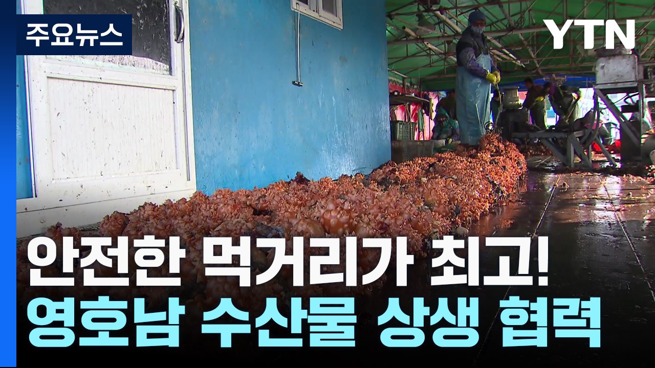 "영·호남 수산물 가공 상생"...안전한 먹거리가 최고! / YTN