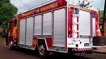 Download Video: Queda de árvore mobiliza Corpo de Bombeiros ao Melissa