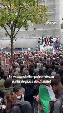 «Nous sommes là au nom des palestiniens» : des milliers de manifestants bravent l'interdiction à Paris