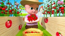 Johnny, Dolly and Baby is helping mom at the farm to pluck Vegetables! After School Cartoon Shows!
