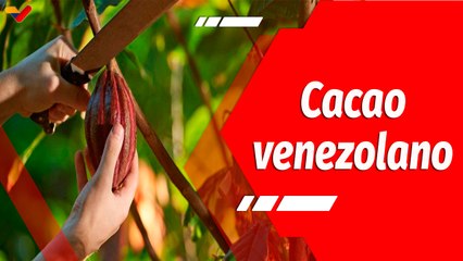 Aló Presidente | Cmdte. Chávez: "¡A sacudirnos la modorra!, ¡a sacudirnos el cansancio!, pero es la patria lo que está en juego"