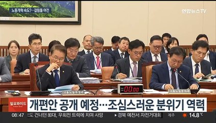 회계공시 다음은 근로시간?…노동개혁 갈등 요소 여전