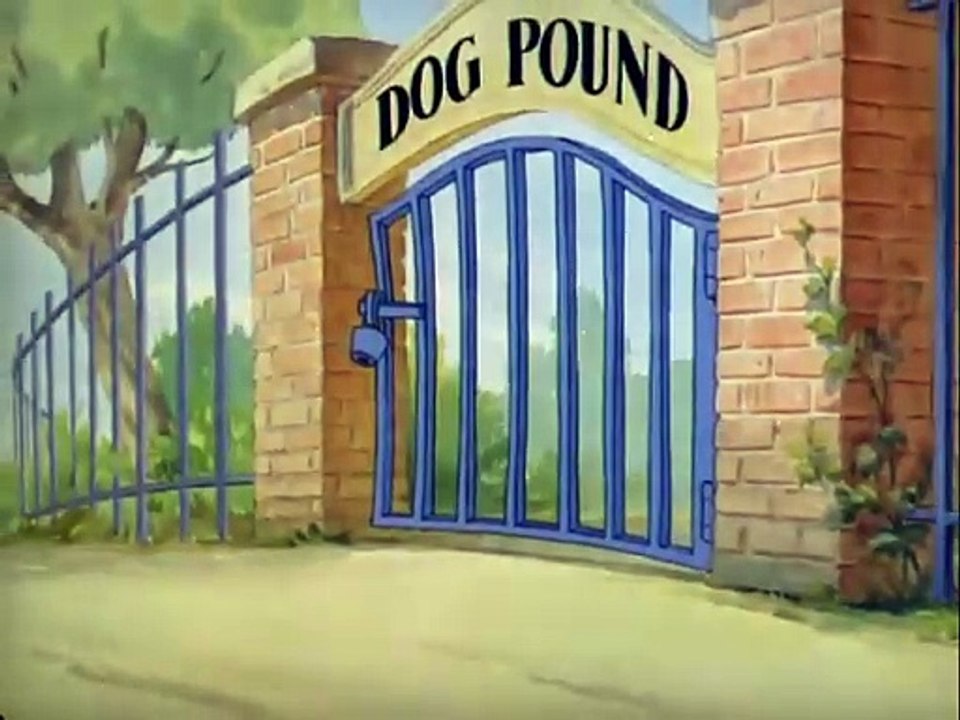 Tom And Jerry - The Puttin On The Dog