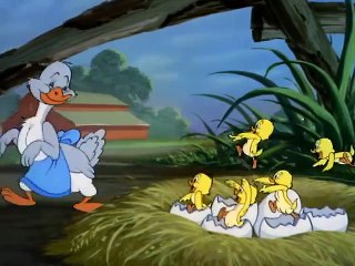 Tom and Jerry - The Just Ducky