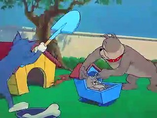 Tom and Jerry - hic-cup pup