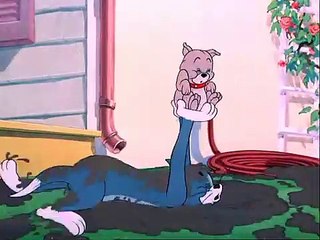 Tom and Jerry Classic Collection Episode 060 - Slicked-up Pup [1951]