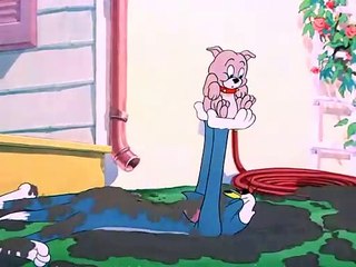 Tom and Jerry, 60 Episode - Slicked-up Pup (1951) (2)