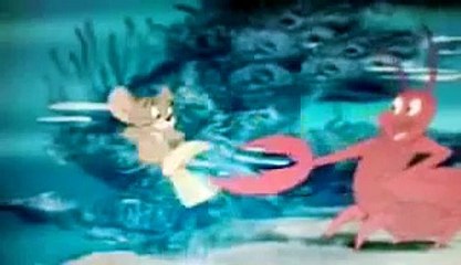 Tom And Jerry Tales Octo Suave  2016