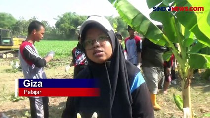 Ratusan Relawan Bersihkan Eceng Gondok yang Penuhi Sungai Bengawan Solo