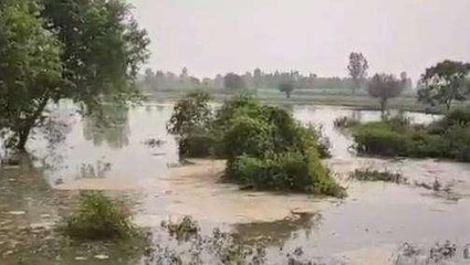 अमरोहा: नहर का बांध टूटने से खेतों में घुसा पानी, किसानों ने की मुआवजे की मांग