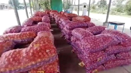 सीकर: टमाटर के बाद अब रुलाएगा प्याज, कीमतों में भारी उछाल, देखें यह खबर