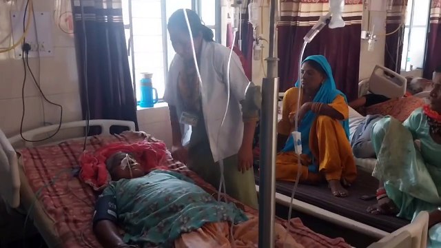 Dengue डेंगू का थमा नहीं प्रकोप, अब तक आए 385 रोगी