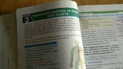 Chapter two Transport system in human and plants  part 1
