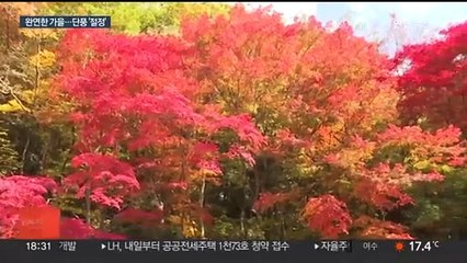울긋불긋 물들어가는 가을…형형색색 단풍 '절정'