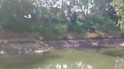 छिंदवाड़ा: सरकारी तालाब से पानी हो रहा चोरी, पेजल की बनी समस्या