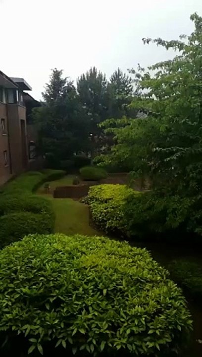 A beautiful place