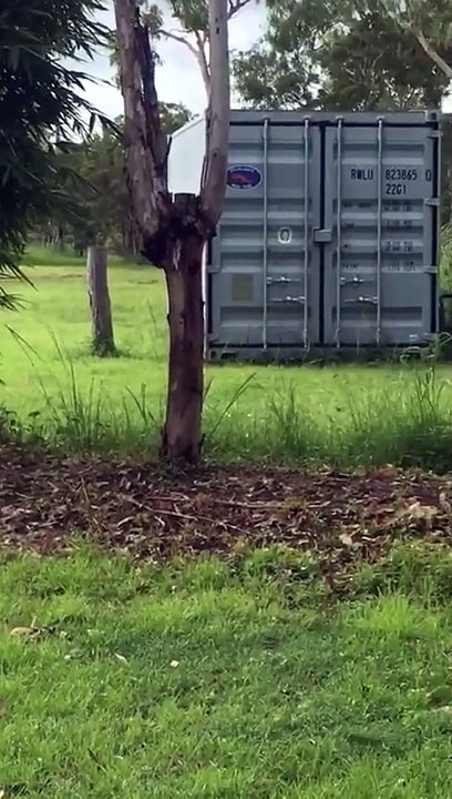 Wallaby With An Extra Scaly Tail