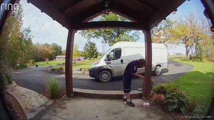 Frenchie Doesn't Like Deliveries