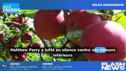 Choc : Matthew Perry, connu sous le nom de Chandler dans Friends, est décédé à l'âge de 54 ans !