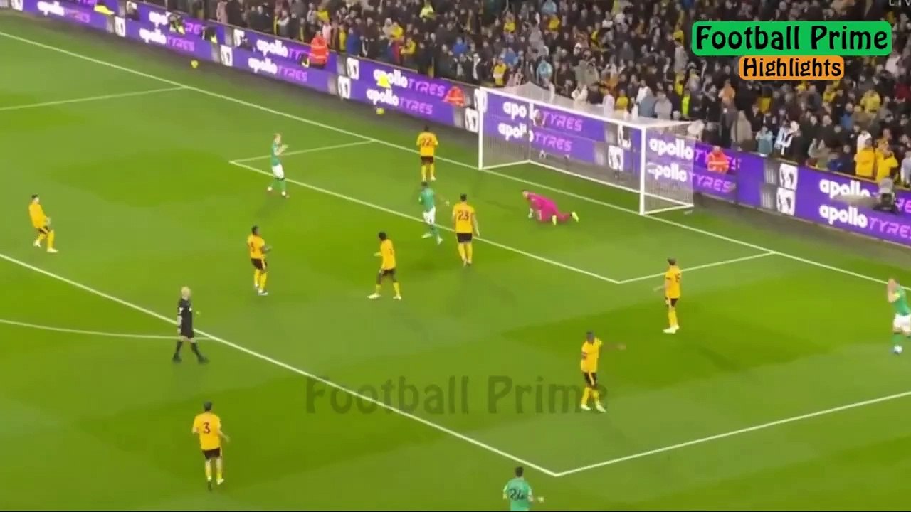 Wolves 2-2 Newcastle United  Premier League highlights 2023 황희찬 골  울버햄튼 vs 뉴캐슬 하이라이트 (2023년 10월29일)