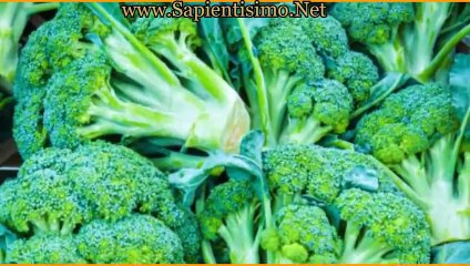 15 Alimentos para Combatir la Candida Albicans