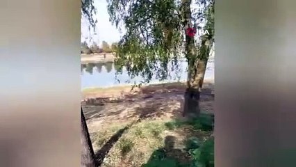 Balık yakalamak isterken gölete düşen çocukları babaları kurtardı