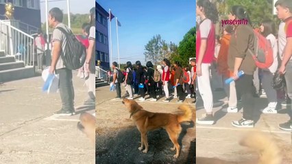 İstiklal Marşı'na eşlik eden köpek yüzleri gülümsetti!