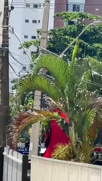 Vídeo: Moradores denunciam barulho de evento na Avenida Magalhães Neto