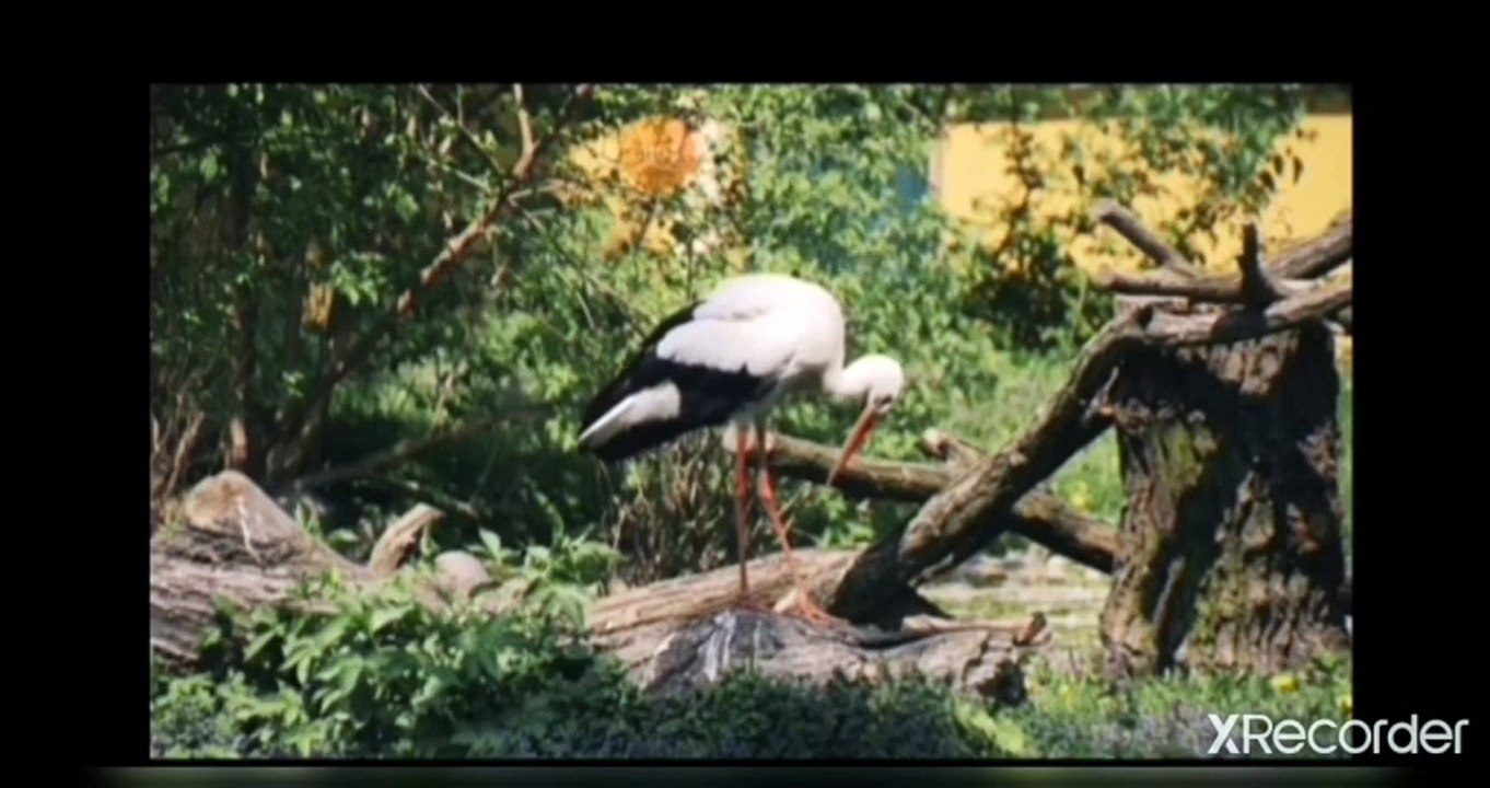 نقي قلبك السر في الماء العلم