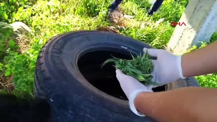 Çarşamba'da Uyuşturucu Operasyonu: 1 Kilo 230 Gram Esrar Ele Geçirildi