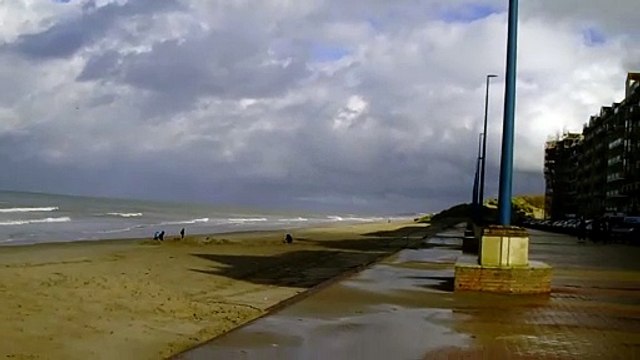 Le ciel, la mer, la plage et les mouettes