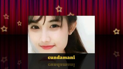 DJ STYLE KARNAVAL~CUNDAMANI X PARADISE VIRAL