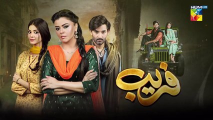 Fareb - Episode 26 - 29th October 2023 - [ Zain Baig, Zainab Shabbir , Maria Wasti ] - HUM TV