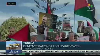 Tunisians march in support of Palestine