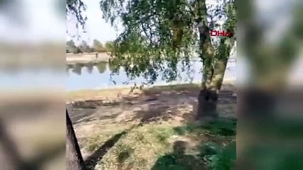Un père sauve ses enfants tombés dans l'étang en essayant d'observer les poissons à la dernière minute