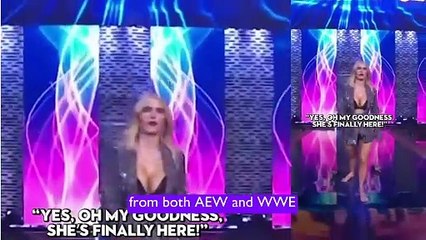 CJ Perry Wants To See More Reality Shows In Wrestling