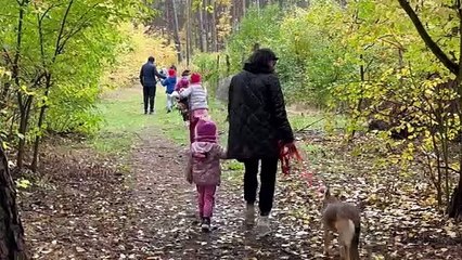 Bieg na 6 w Schronisku dla zwierząt we Włocławku