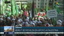 teleSUR Noticias 15:30 29-10: En Gaza aumentan a más de 8.000 los muertos por asedio israelí