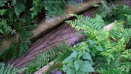 Water Fountain #4 / Therma Village / Samothrace Island / Greece