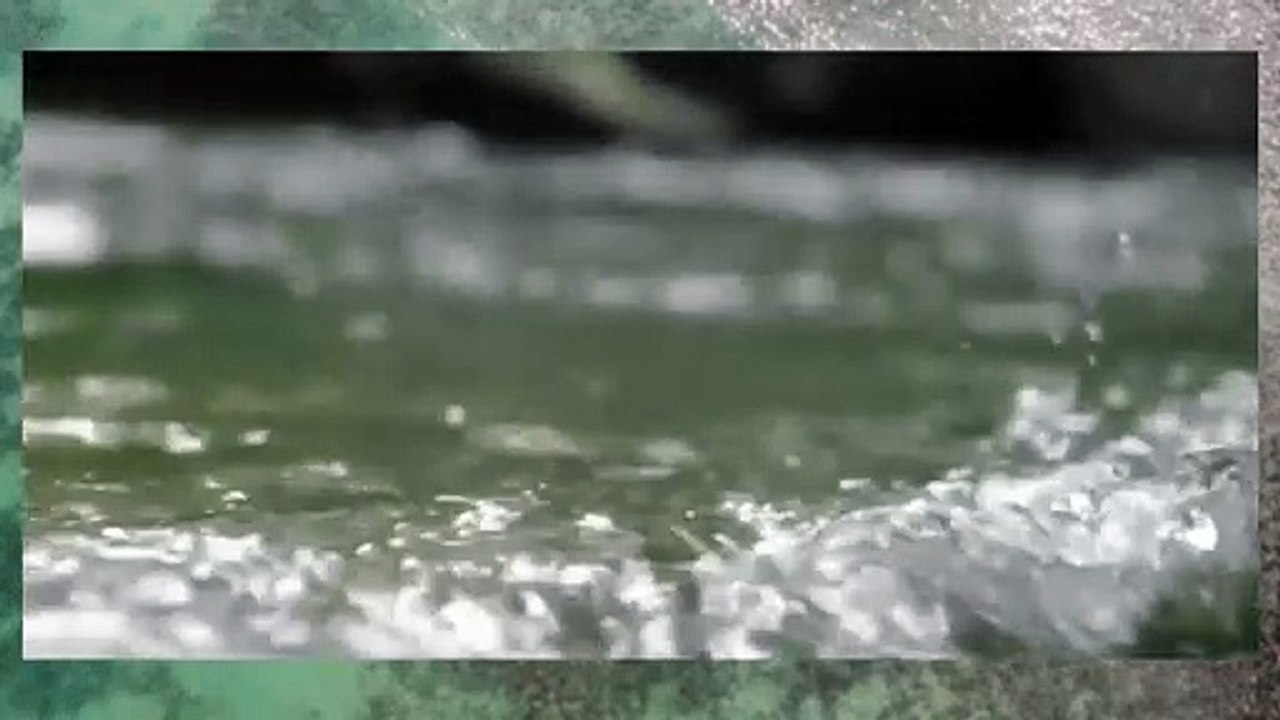 Sea sound effects