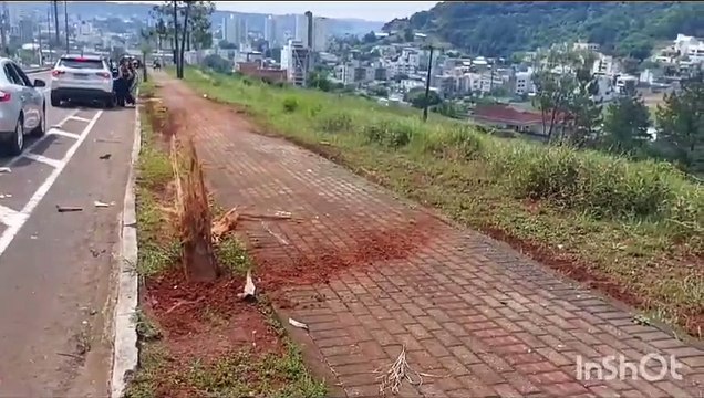 Motorista perde o controle da direção e vai parar em ribanceira em Francisco Beltrão