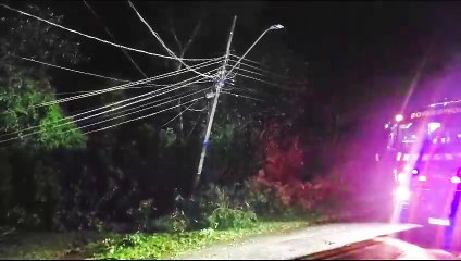 Vendaval derruba árvore em dois postes e deixa bairro Neva sem energia