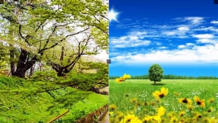 Microsoft Sway Course Section 28 Presentation Options