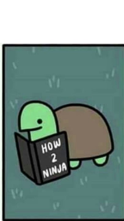 a nova tartaruga ninja