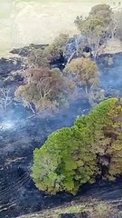 Total fire ban issued in parts of NSW: What it means for you