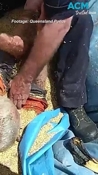 Remarkable moment farmer trapped in a grain silo is rescued - video ...