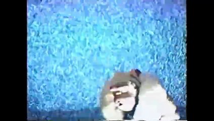 Yellow Door: '90s Lo-fi Film Club | Official Trailer | Netflix [ENG SUB]