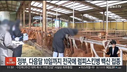 정부, 내달 10일까지 럼피스킨병 백신 전국 접종 완료